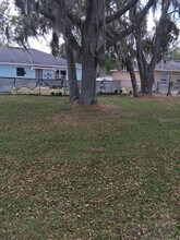 443 Flamingo Ct in Kissimmee, FL - Building Photo - Building Photo