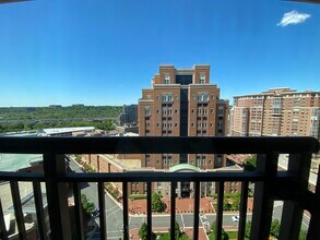 2050 Jamieson Ave, Unit 1509 in Alexandria, VA - Foto de edificio - Building Photo