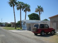 Cactus Tree in Yuma, AZ - Foto de edificio - Building Photo