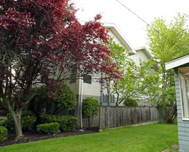 1531 NW 61st St in Seattle, WA - Building Photo - Building Photo