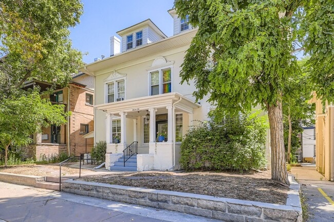 1110 N Clarkson St in Denver, CO - Building Photo - Building Photo