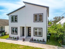 2512 W Chestnut St in Tampa, FL - Building Photo