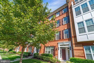 23548 Belvoir Woods Terrace in Ashburn, VA - Building Photo - Building Photo