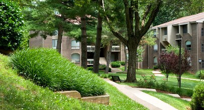 PeachTree of McLean Apartments in Falls Church, VA - Foto de edificio - Building Photo