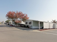 Hanford Del Arroyo Estates in Hanford, CA - Building Photo - Building Photo