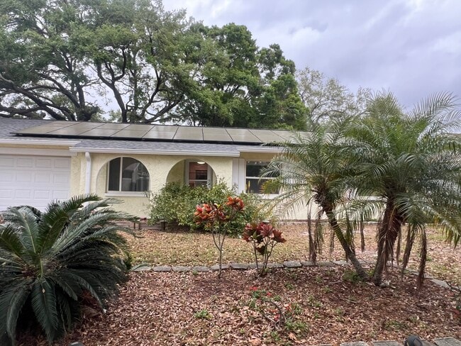 1570 Greenwood Dr in Dunedin, FL - Building Photo - Building Photo