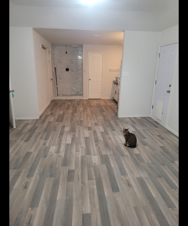 3716 Pebble Beach in Schertz, TX - Building Photo