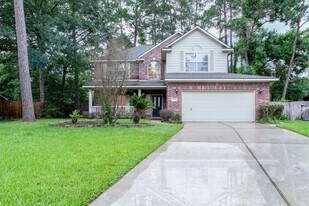 78 Blackstar Pl in Spring, TX - Building Photo