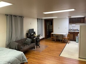 127-129 Eddy Street in Ithaca, NY - Building Photo - Building Photo