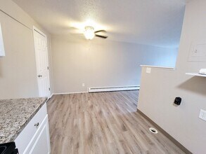 1624 S Cascade Ave in Colorado Springs, CO - Building Photo - Building Photo