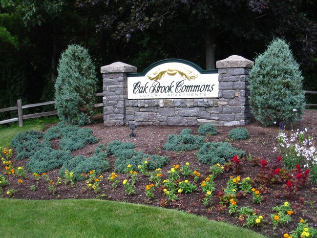 Oak Brook Commons in Clifton Park, NY - Building Photo - Building Photo