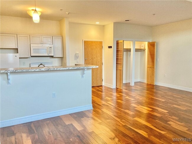 481 Franklin St in Buffalo, NY - Building Photo - Building Photo