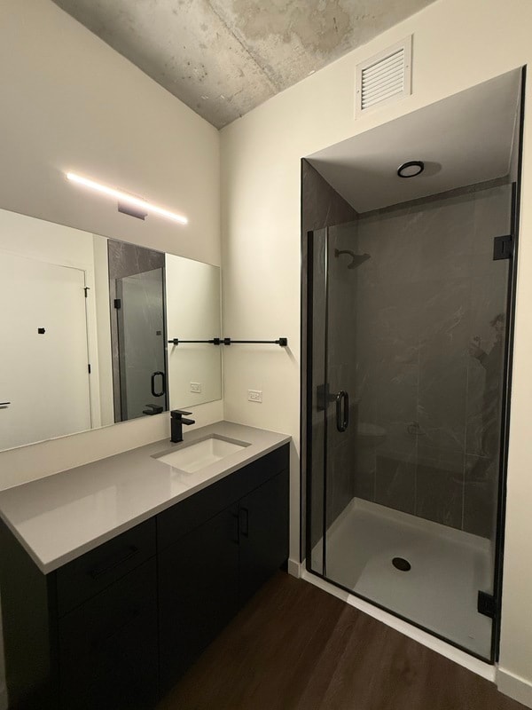 359 W Chicago Ave in Chicago, IL - Building Photo - Building Photo