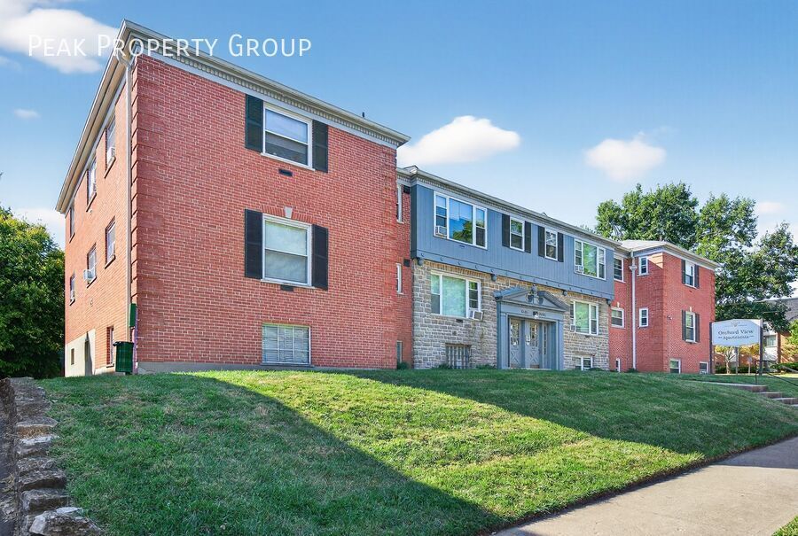 6404 Montgomery Rd in Cincinnati, OH - Building Photo