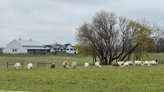 7676 County 17 Blvd, Unit Rosewood Farm in Cannon Falls, MN - Building Photo