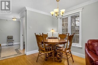 20 Chestnut Pl in St John's, NL - Building Photo - Building Photo