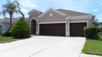 1029 Millebourne Way in Wesley Chapel, FL - Building Photo