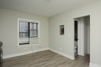 434.5 W Belden Ave in Chicago, IL - Building Photo - Building Photo