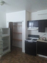 1250 S Karlov in Chicago, IL - Building Photo - Building Photo