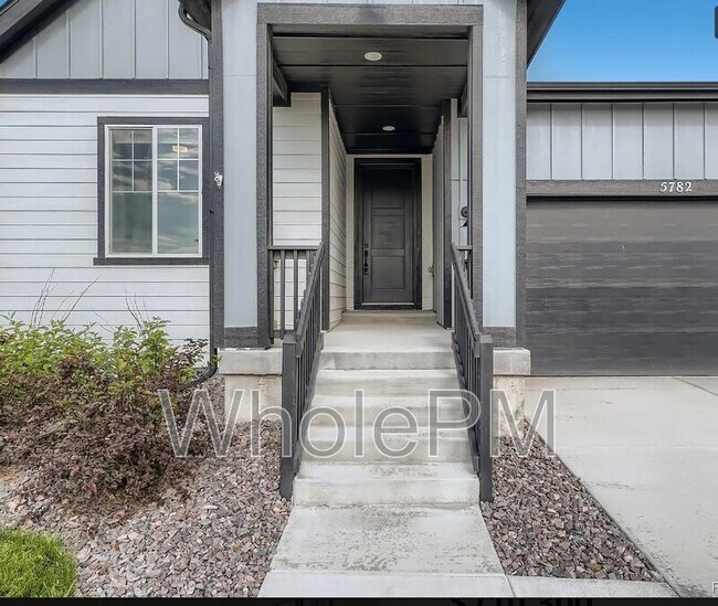 5782 Saddle Skirt St in Parker, CO - Building Photo - Building Photo