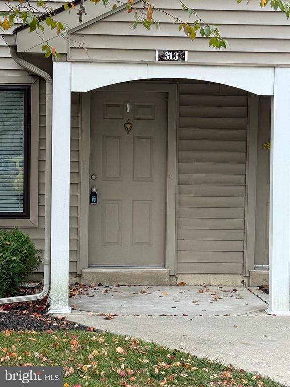 property at 313 Gregorys Way