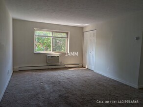 12050 Lake Ave in Lakewood, OH - Building Photo - Building Photo