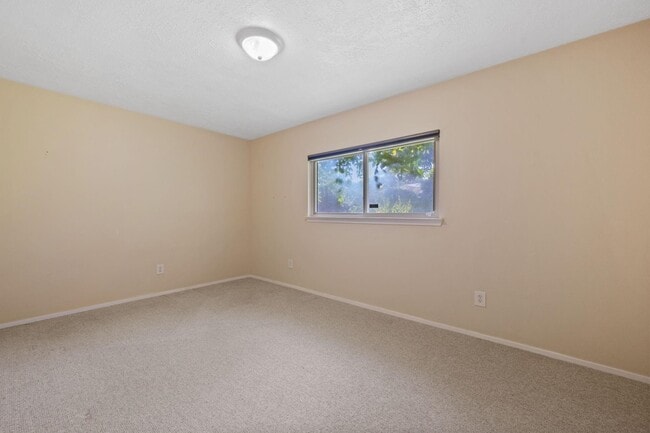 property at 19907 Lions Gate Dr