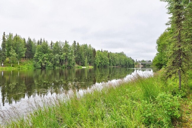 38610 Moose River Dr in Sterling, AK - Building Photo - Building Photo