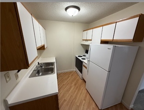 1516 1st St E in Thief River Falls, MN - Foto de edificio - Building Photo