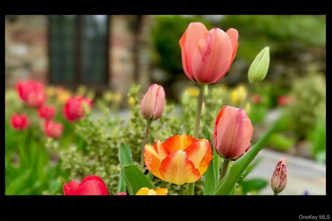 116 Potter Rd in Scarsdale, NY - Building Photo - Building Photo