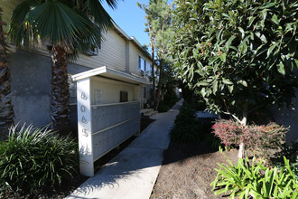 Whitsett Courtyard Apartments in North Hollywood, CA - Building Photo - Building Photo