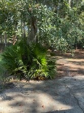 227 Sequoia Cir in Hinesville, GA - Building Photo - Building Photo