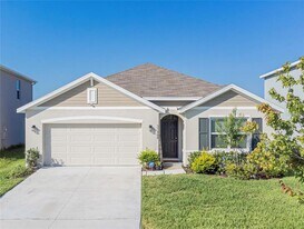 33488 Elm Hl Br in Wesley Chapel, FL - Building Photo