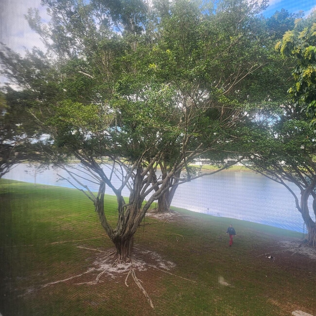 9430 Poinciana Pl in Davie, FL - Building Photo - Building Photo