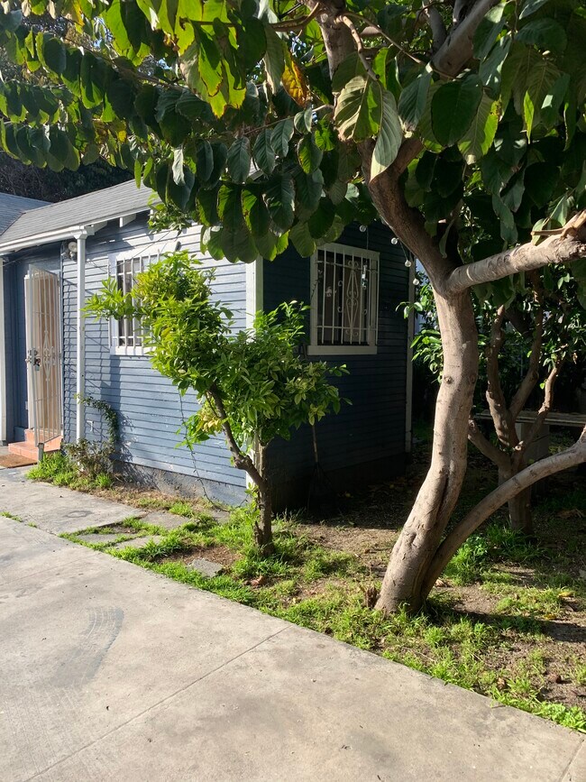 3946 S Hill St in Los Angeles, CA - Building Photo - Building Photo