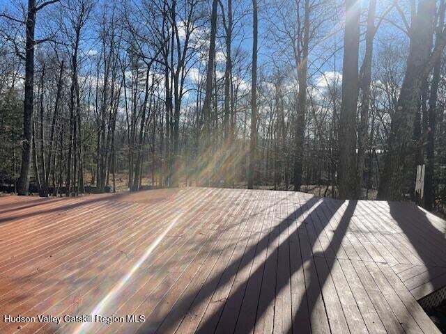 90 Black Rd in Shokan, NY - Building Photo - Building Photo