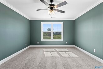 247 Susan Lynn Dr in Hazel Green, AL - Building Photo - Building Photo