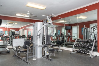 Elora Place in Lafayette, LA - Foto de edificio - Interior Photo