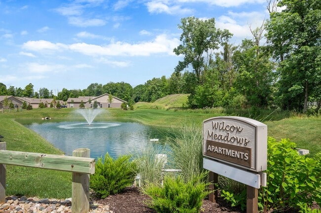 Wilcox Meadows