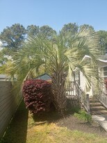 881 Whaler Pl in Murrells Inlet, SC - Building Photo