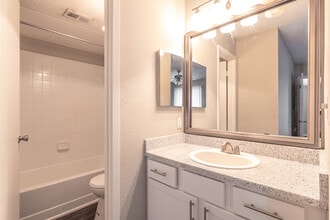 Palisades at Bear Creek in Euless, TX - Foto de edificio - Interior Photo