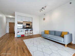 41 E 8th St in Chicago, IL - Building Photo - Building Photo
