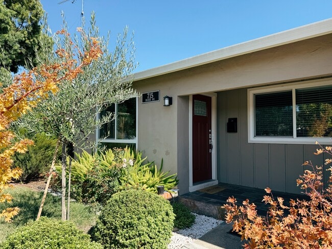 715 Bucher Ave in Santa Clara, CA - Building Photo - Building Photo