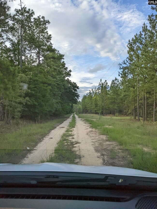 1629A Robinson Town Rd in Cassatt, SC - Building Photo - Building Photo