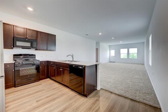 2817 Dezmond Diamond Ct in Pflugerville, TX - Building Photo - Building Photo