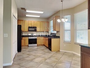 27602 Sky Lake Cir in Wesley Chapel, FL - Building Photo - Building Photo