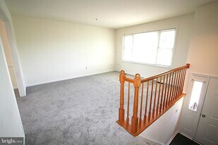 4405 Apex Ln in Beltsville, MD - Building Photo