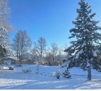 11015 Equestrian St in Palmer, AK - Foto de edificio - Building Photo