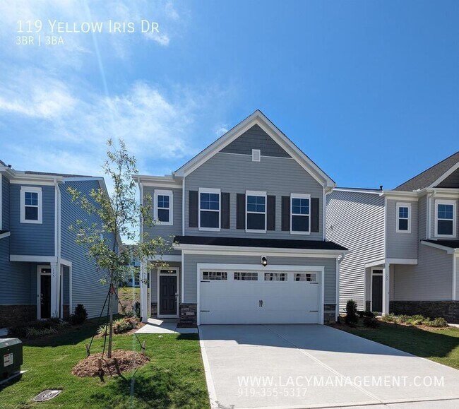 property at 119 Yellow Iris Dr
