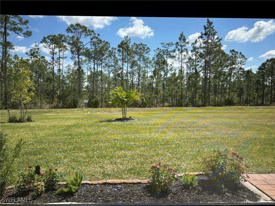 20679 Plumwood Lp in North Fort Myers, FL - Building Photo